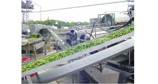 Case Study: Reduced Bearing Replacements by 50%