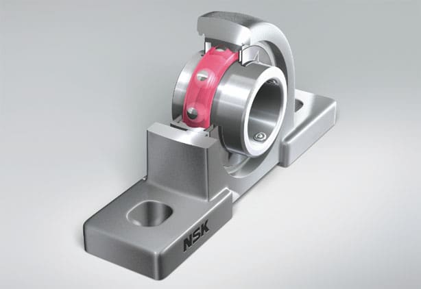 nsk-03072016-cnt2