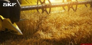 Challenges in the Field