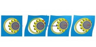 Further integration of FEA calculations with Shaft Calculation Software