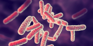 The anti-microbial polymer lubrication for Bearings