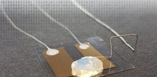 Smallest Transistor Worldwide Switches Current with a Single Atom in Solid Electrolyte