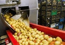 NSK triple lip seal provides ultimate bearing protection