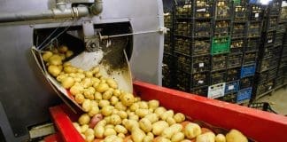 NSK triple lip seal provides ultimate bearing protection