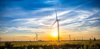 Liebherr blade bearings for tomorrow’s service operations