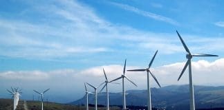 High Quality Balls for Wind Mill Bearings