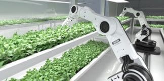 Megadyne’s LogiMat 2024: A Glimpse into the Future of Material Handling – Watch the Exclusive Video!