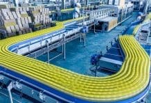 How-to Guide: Designing Conveyors with Plastic Modular Belts