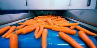 100% FDA Custom Timing Belts: Hygienic and Customized Solutions for The Food Industry